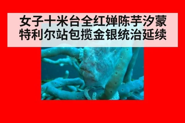 女子十米台全红婵陈芋汐蒙特利尔站包揽金银统治延续