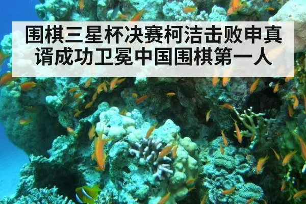 围棋三星杯决赛柯洁击败申真谞成功卫冕中国围棋第一人