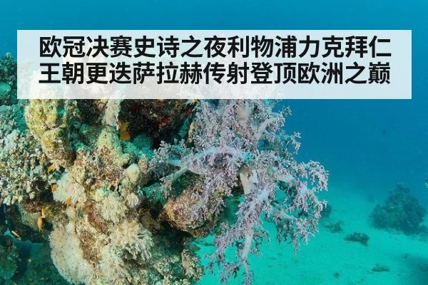 欧冠决赛史诗之夜利物浦力克拜仁王朝更迭萨拉赫传射登顶欧洲之巅