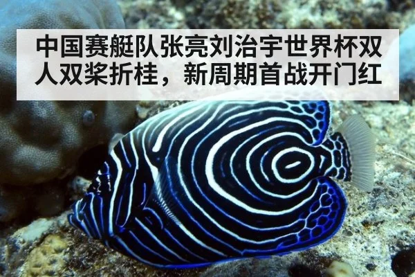 中国赛艇队张亮刘治宇世界杯双人双桨折桂，新周期首战开门红