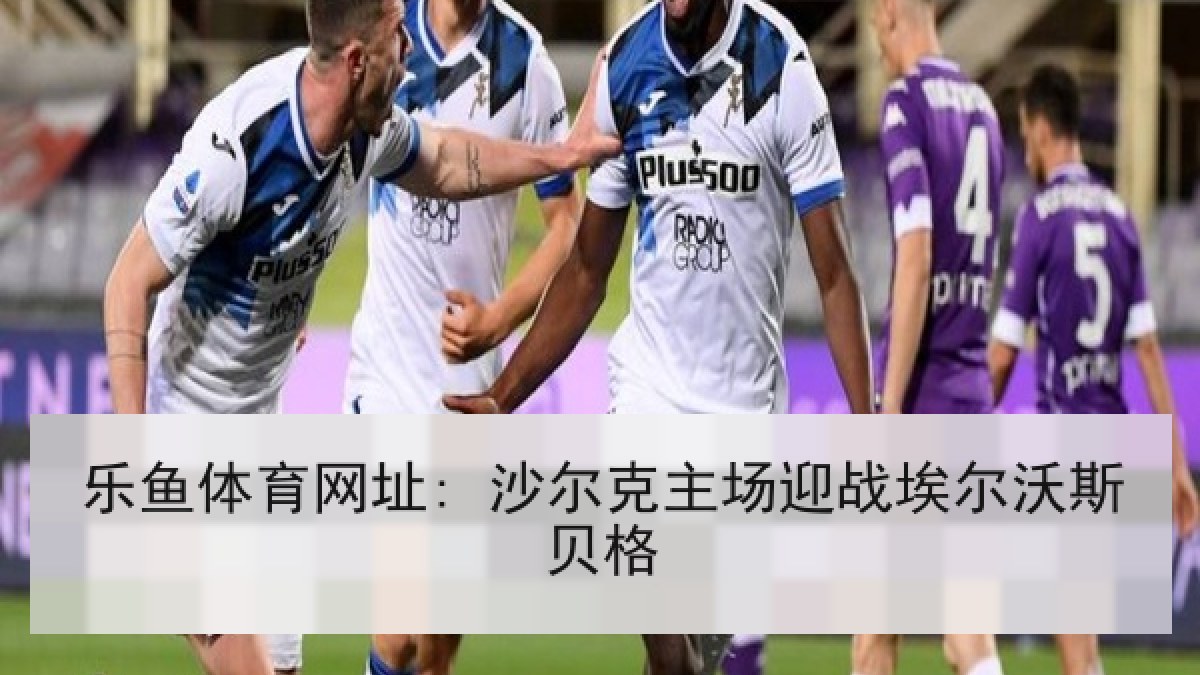 乐鱼体育网址: 沙尔克主场迎战埃尔沃斯贝格