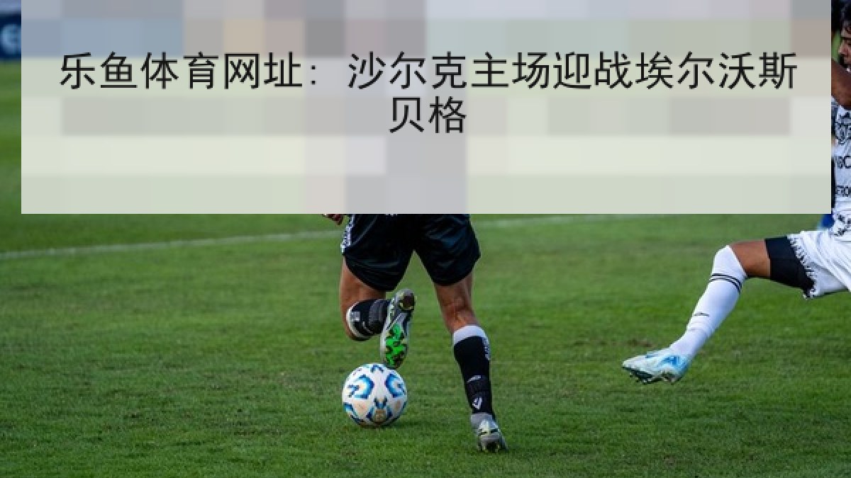 乐鱼体育网址: 沙尔克主场迎战埃尔沃斯贝格